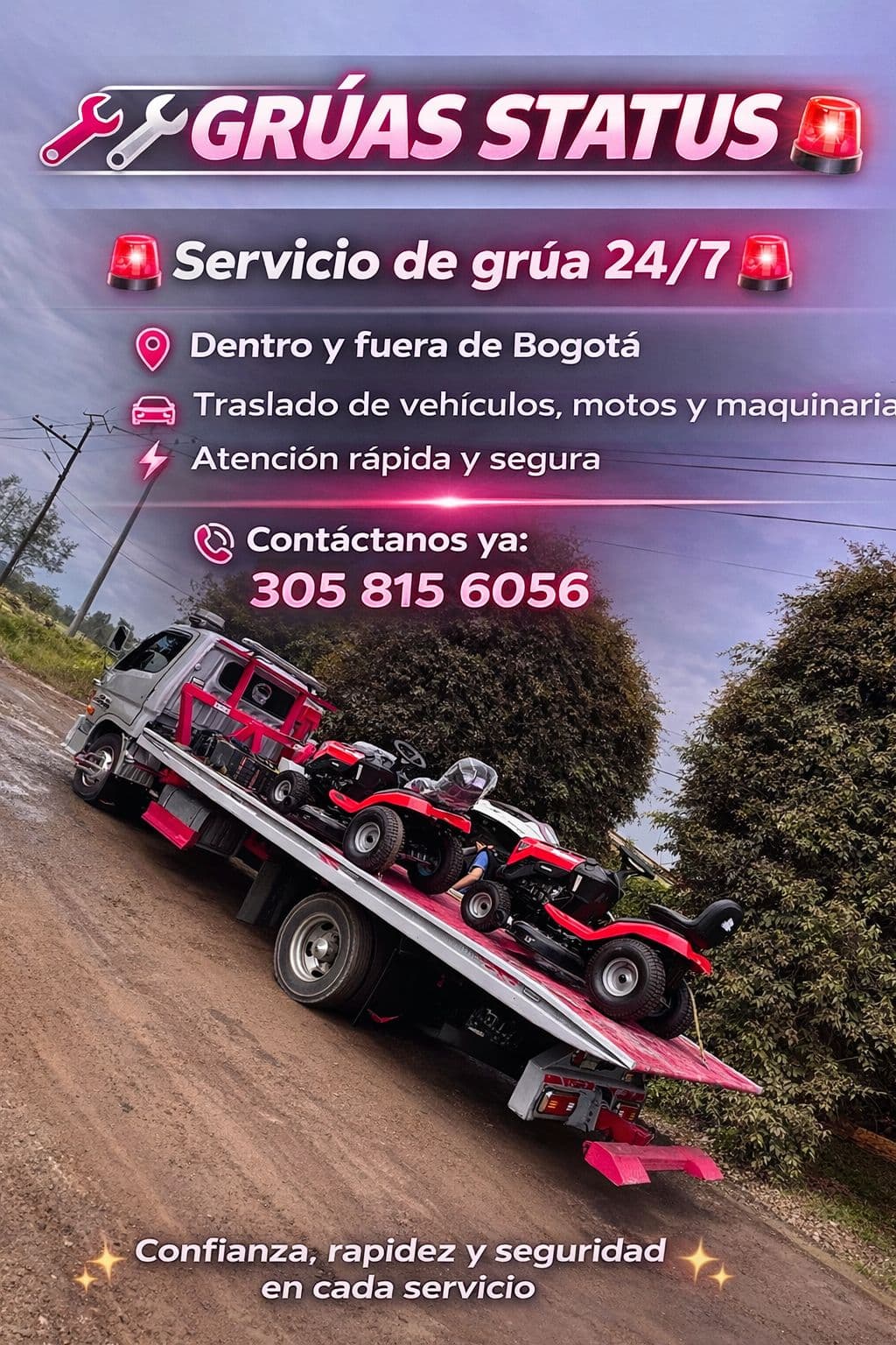 Grúa Grúas Status